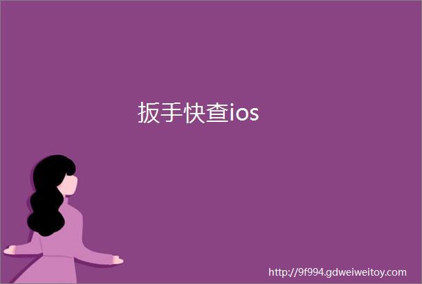 扳手快查ios